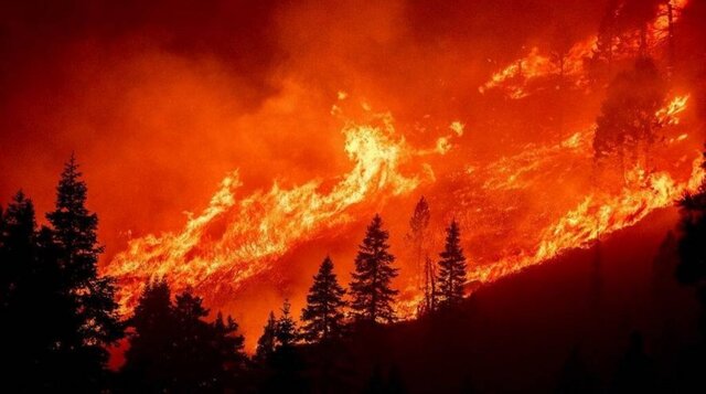 تشدید آتش سوزی “کالدور” در غرب آمریکا