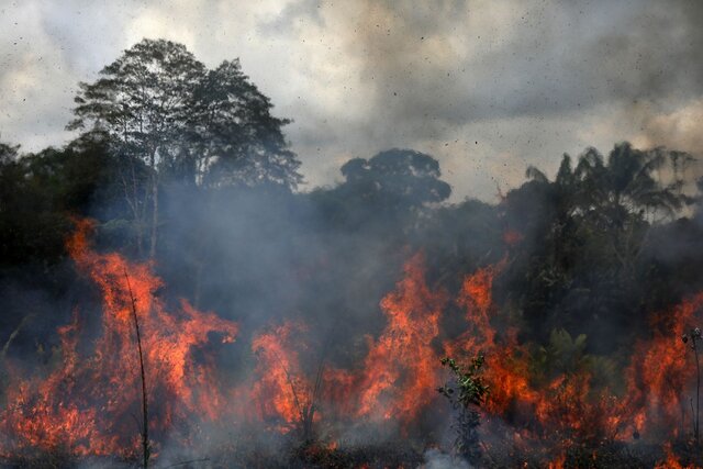 تشدید آتش سوزی های جنگلی آمازون در برزیل