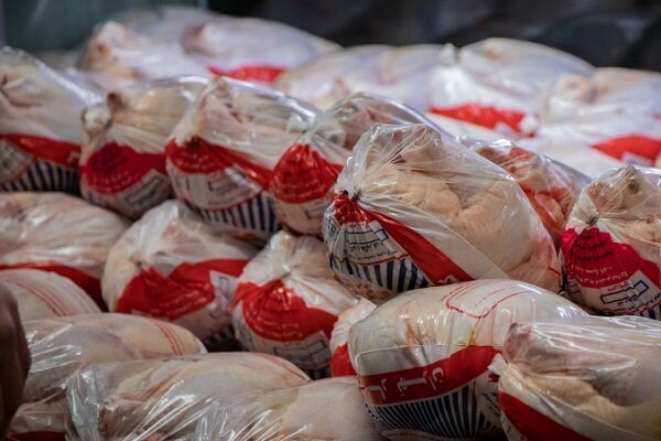 مرغ مورد نیاز کشور تأمین شده است/ افزایش قیمت مرغ با شیب ملایم