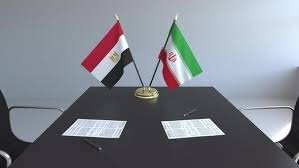 هانی‌زاده: بهبود مناسبات بین ایران و مصر منوط به چراغ سبز آمریکا و عربستان به قاهره است
