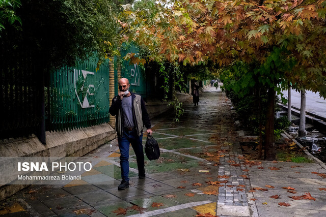وزش باد و بارش‌ پراکنده در تهران