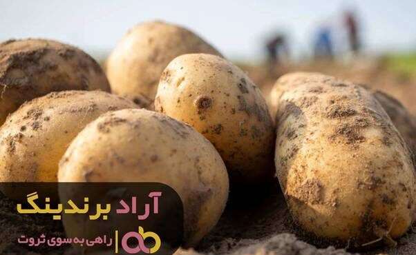 آموزش و مشاوره استارتاپ و کسب و کار اینترنتی آموزش و مشاوره استارتاپ و کسب و کار اینترنتی