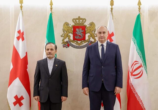 بررسی تعاملات نظامی ایران و گرجستان در دیدار سفیر کشورمان با وزیر دفاع این کشور