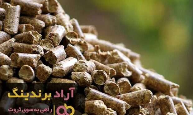 با توسعه فردی درآمد خود را چندین برابر کنید با توسعه فردی درآمد خود را چندین برابر کنید