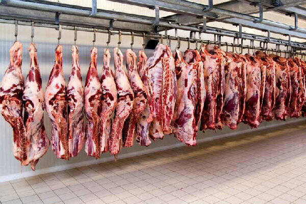 عرضه گوشت قرمز در کشتارگاه‌هادر دی به ۴۱ هزار تن رسید