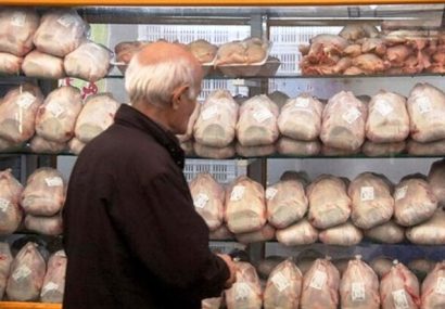 سازمان دامپزشکی: تمامی مرغ‌های موجود در بازار سالم هستند