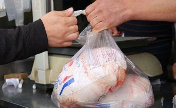 پایداری گوشت مرغ در قرارگاه امنیت غذایی بررسی شد