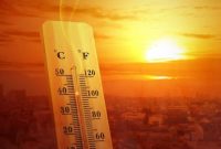 افزایش ۵ درصدی مرگ و میرها در هلند همزمان با تشدید گرما
