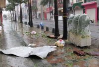 توفان «خانون» در ژاپن قربانی گرفت