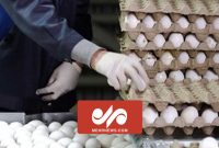 قیمت‌سازی شبکه معاند لندنی برای بازار تخم مرغ