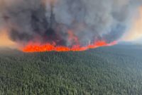 دود آتش‌سوزی‌های جنگلی کانادا چند صد کیلومتر گسترش یافت