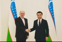 تاکید وزیر امور خارجه ازبکستان بر گسترش همه‌جانبه همکاری‌ها با ایران  