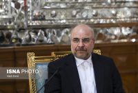 دیدار نایب رئیس مجلس عراق با رئیس مجلس