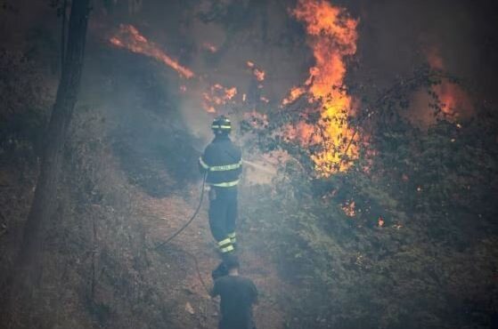 تخلیه صدها نفر در پی آتش‌سوزی در شمال‌غرب ایتالیا