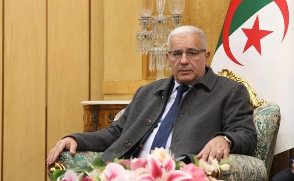 رئیس مجلس الجزایر: باید هر چه سریعتر جنگ در غزه متوقف شود
