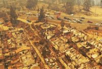 افزایش تلفات آتش‌سوزی‌های جنگلیِ «شیلی» به ۵۱ تن