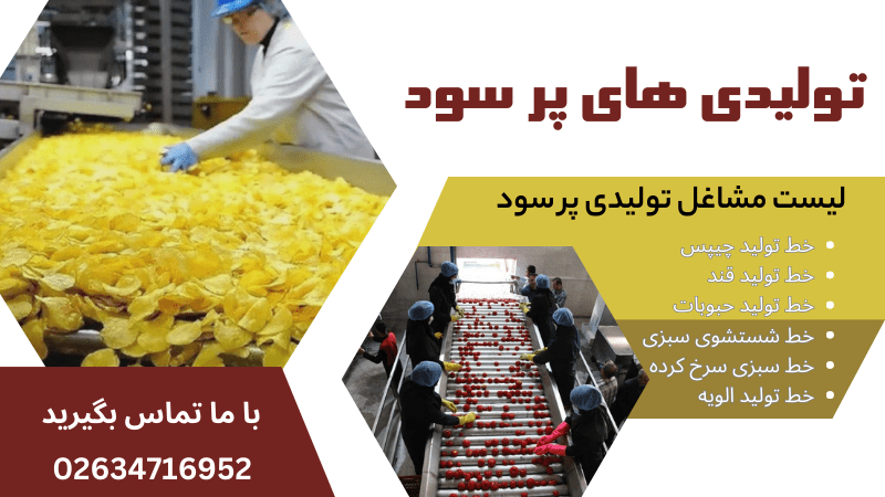 خط تولید چیپس سیب زمینی | کسب درآمد خانگی و صنعتی