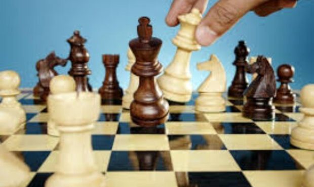 شادی پریدر: ۶ مربی خارجی هدایت تیم شطرنج ایران را نپذیرفتند