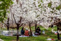 ۱۵۳ بوستان منطقه ۱۵ تهران برای روز طبیعت آماده شد