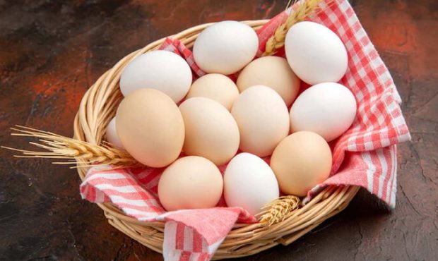 خوردن ۱۲ تخم مرغ در هفته سطح کلسترول را افزایش نمی دهد