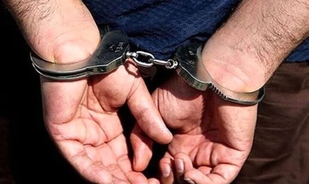 ۱۰ قاچاقچی چوب تاغ در استان سمنان دستگیر شدند