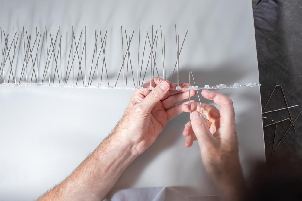 شاخک دورکننده پرندگان