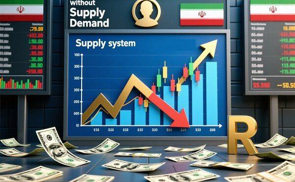 واقعیت نرخ ارز را بازار تعیین می‌کند، نه شعارهای سیاست‌گذاران