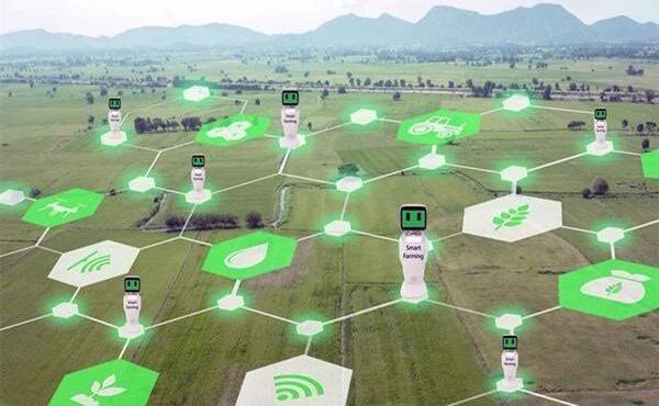 نخستین آمار رسمی سهم اقتصاد دیجیتال کشور به‌زودی منتشر می‌شود