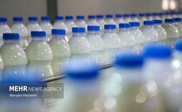 ردپای «لبنیات» در افزایش بار بیماری استخوان شکن!