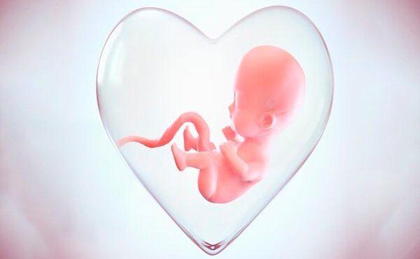 قند و شیرینی‌جات باعث وزن‌گیری سالم جنین نمی‌شوند