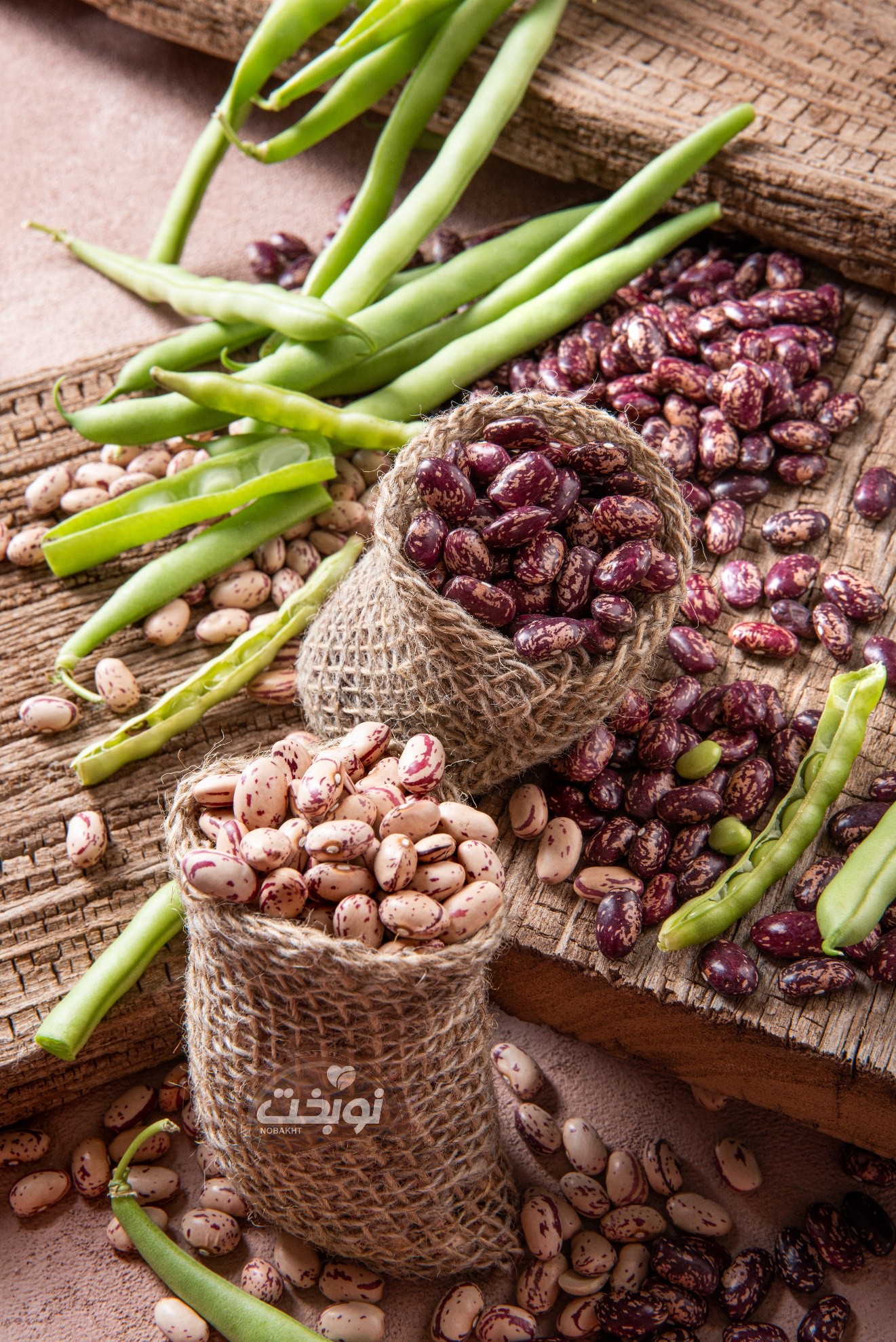 لوبیا چیتی ازبکستان؛ راهکار تولیدکنندگان برای دستیابی به کیفیت برتر