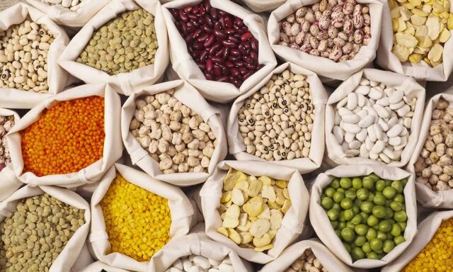 کشت حبوبات؛ تضمین تغذیه‌ای سالم و محیط‌زیستی پایدار