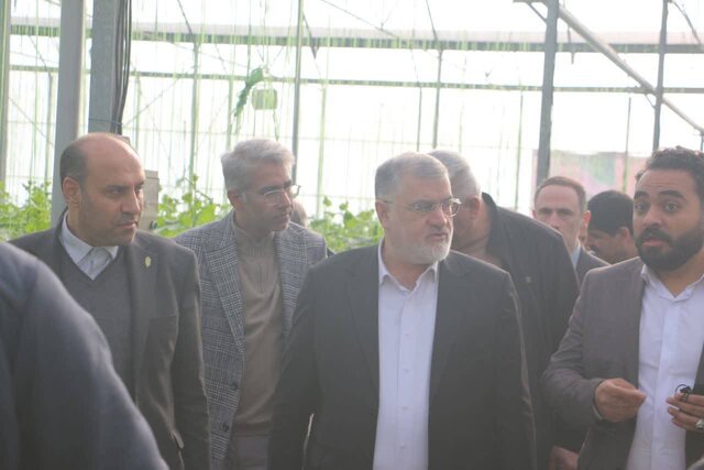توسعه گلخانه‌ها یکی از محورهای اصلی امنیت غذایی استان تهران است