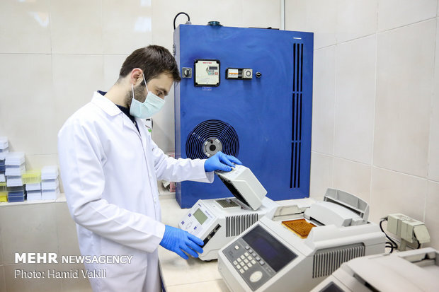 ایران در «پزشکی بازساختی» به رتبه هفتم دنیا رسید ایران در «پزشکی بازساختی» به رتبه هفتم دنیا رسید