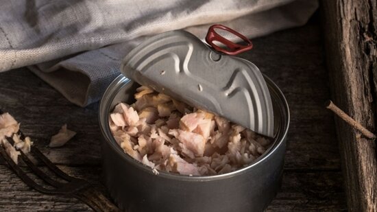 آیا خوردن روزانه ماهی تُن بی‌خطر است؟