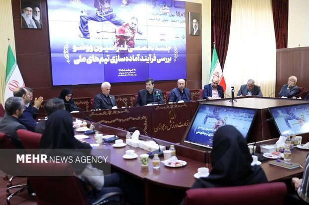 پیشنهاد وزیر ورزش به فدراسیون ووشو؛ از مربی تالوی چینی استفاده کنید